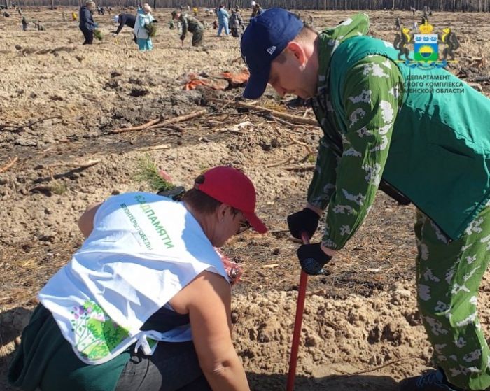 ​«Сад памяти» в Тюменской области станет масштабным символом благодарности героям Великой Победы