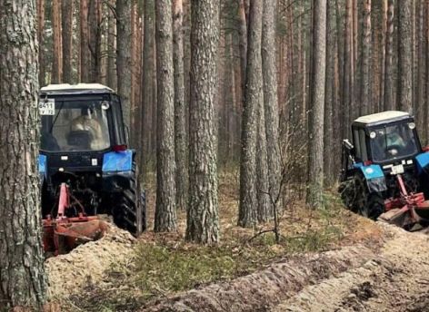 ​Тюменская область усиливает защиту лесов: создано более 1500 км противопожарных полос
