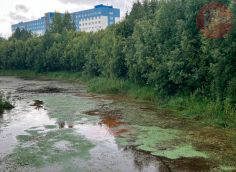 ​Основную часть набережной правого рукава Саймы обустроят по ФКГС, остальное − в рамках КРТ с «Брусникой»