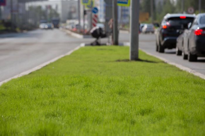 На улицах Сургута появятся новые знаки «Остановка запрещена»