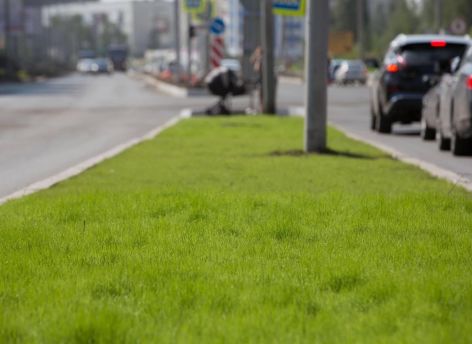На улицах Сургута появятся новые знаки «Остановка запрещена»
