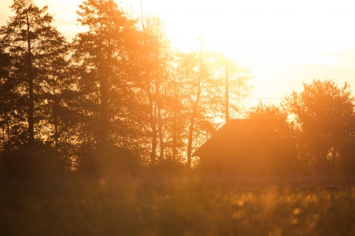 В начале недели Югру ждут грозы и температура до +32°C 