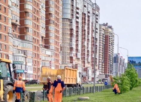 ​«Это лишь создает лишние препятствия и визуальный шум» – в Сургуте демонтируют ненужные заборчики