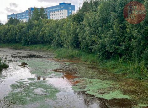 ​Остался последний день: более 43 тысяч жителей Сургута проголосовали за объекты благоустройства
