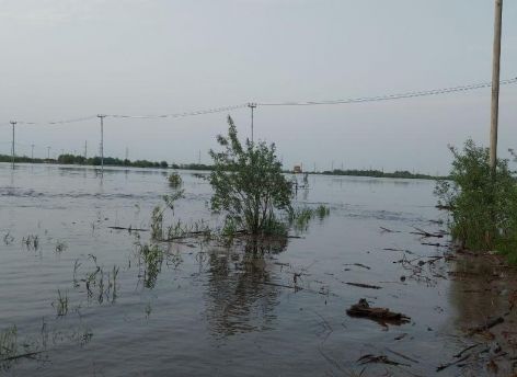В Ханты-Мансийске 11-летнюю девочку унесло течением
