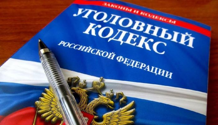 В России планируют расширить перечень оснований для лишения гражданства у мигрантов