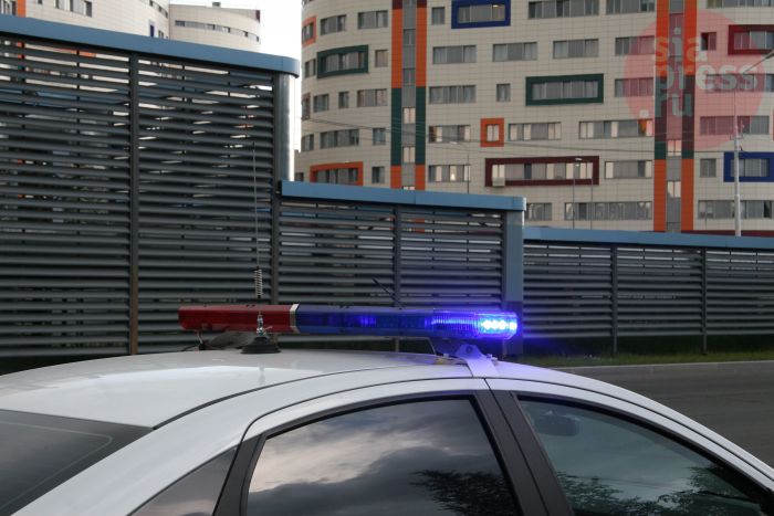 ​Полицейские Сургута нашли водителя, который сбил собаку на Университетской