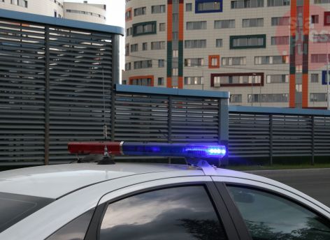 ​Полицейские Сургута нашли водителя, который сбил собаку на Университетской