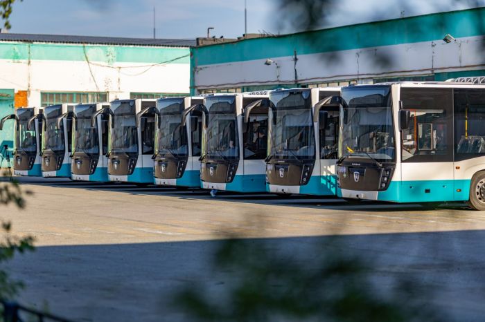 Судя по всему, мы движемся к подчинению сферы общественного транспорта Сургута и всей Югры окружному правительству