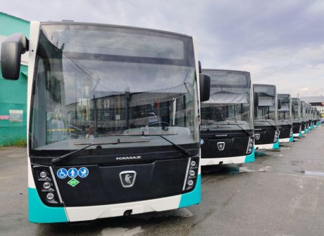 Автобусный парк «СПОПАТа» будет обновляться на 30 процентов в год