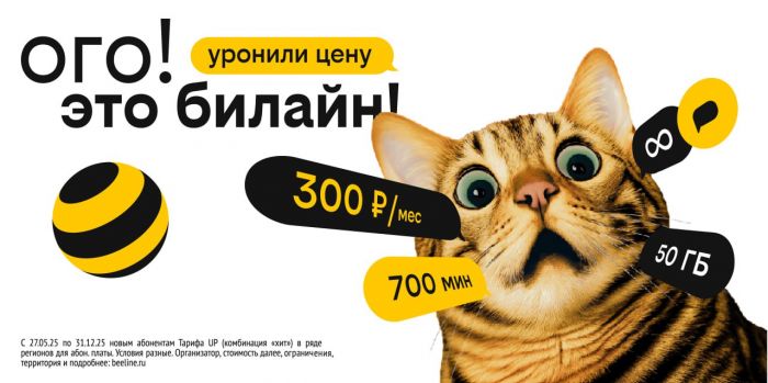 ​Билайн снизил цены для жителей Сургута при новом подключении