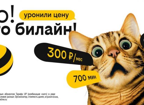 ​Билайн снизил цены для жителей Сургута при новом подключении