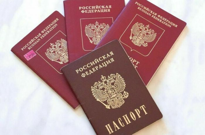 В Госдуме анонсировали расширение списка оснований, по которым можно будет лишать приобретенного гражданства