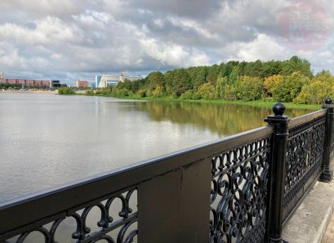 ​В Сургуте потратят более двух миллионов на борьбу с комарами