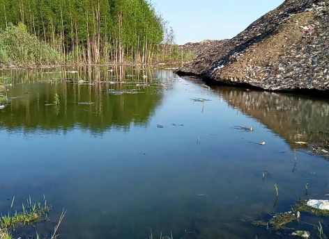 ​Нарушения на полигоне: в Сургуте складируют снег без экологической защиты