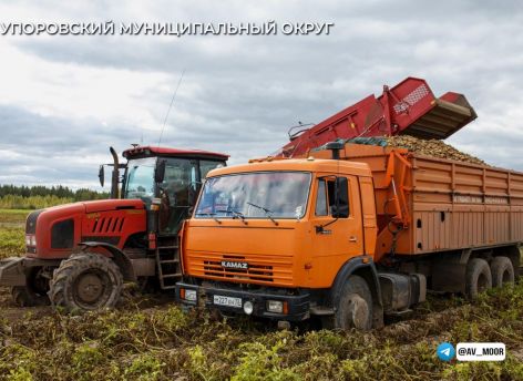 ​В Тюменской области стартовала уборка урожая