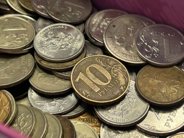 ​Работаешь сам ‒ плати сам: в России самозанятых хотят обязать копить на пенсию