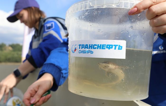 ​АО «Транснефть – Сибирь» провело экологическую акцию по выпуску мальков сибирского осетра в р. Иртыш
