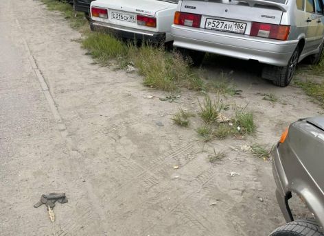 В Сургуте «разогнали» стихийную парковку недалеко от «Витьбы»