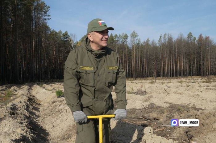​Тюменцы высадили 50 тысяч деревьев в рамках акции «Сохраним лес»