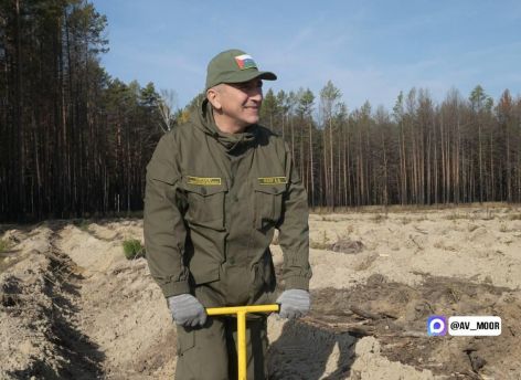 ​Тюменцы высадили 50 тысяч деревьев в рамках акции «Сохраним лес»