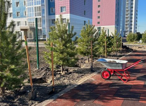 В ЖК «Георгиевский» прошла акция «Посади свое дерево» – жители высадили сосны и рябины вокруг школы