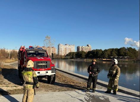 ​Трогательное спасение: в Сургуте пожарные спасли утку, вмерзшую в лед
