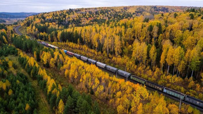 ​Товарооборот между Тюменской областью и Китаем вырос в 1,5 раза
