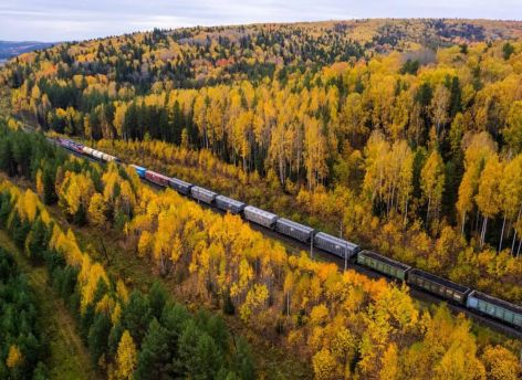 ​Товарооборот между Тюменской областью и Китаем вырос в 1,5 раза