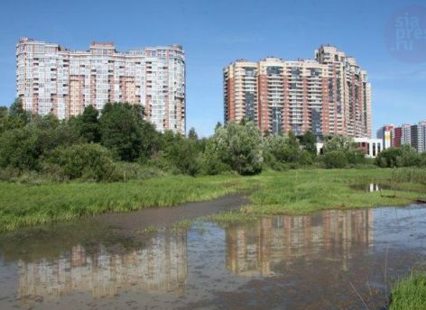 Проект очистных сооружений для Саймы будет готов только весной 2026 года