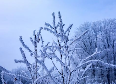 Актировка: 1-8 класс второй смены