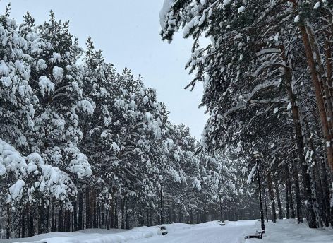 Снег, гололедица и устойчивые морозы: погода в Югре на выходные