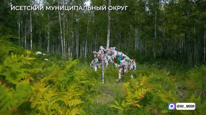 ​В Тюменской области развивают экологический туризм
