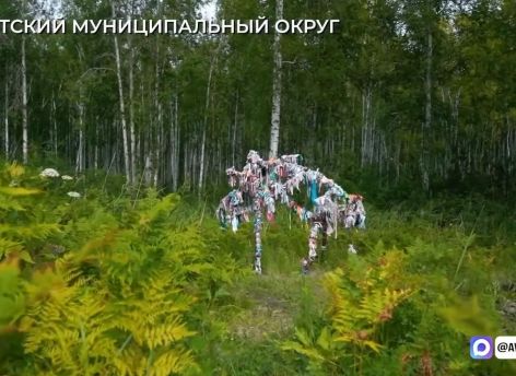 ​В Тюменской области развивают экологический туризм