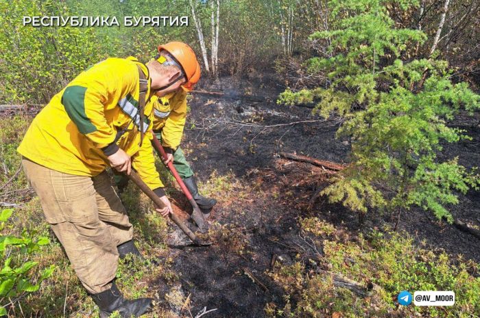 ​В Тюменской области с 6 апреля объявлен пожароопасный сезон