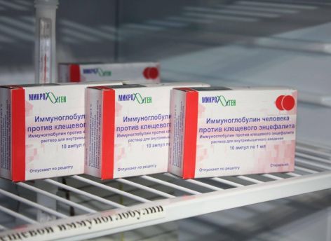 В Югре растет число укусов клещей – уже 31 случай