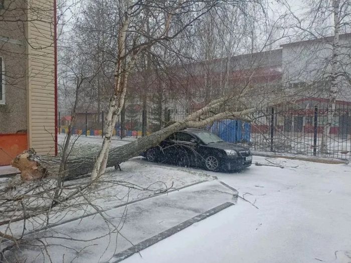 ​В Сургуте коммунальные службы перешли на усиленный режим из-за непогоды 