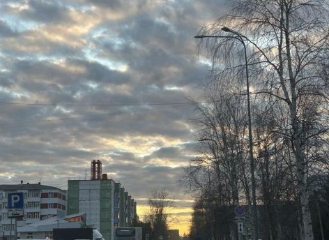 После майской метели в Сургут вернется тепло до +15 градусов