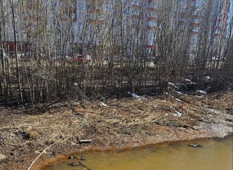 Жители Сургута попросили убрать мусор с берегов Саймы