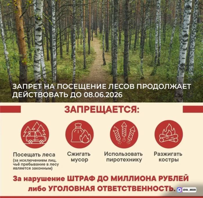 ​В Тюменской области продлили запрет на посещение лесов до 8 июня