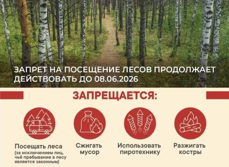 ​В Тюменской области продлили запрет на посещение лесов до 8 июня
