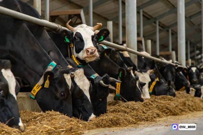 ​Тюменская область наращивает экспорт продуктов питания