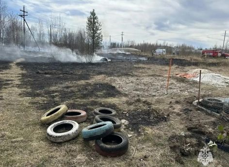 Житель Югры схлопотал штраф в 40 тысяч за сжигание сухой травы. А могло быть еще хуже