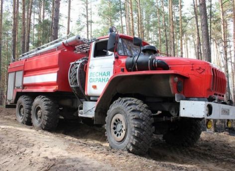 ​В Тюменской области наказали 22 нарушителей особого противопожарного режима