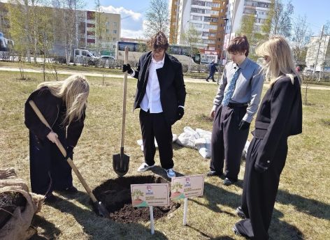 В Сургуте выпускники высадили новые деревья и дали старт летнему озеленению города