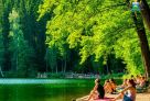 ​В Тюменской области сняли запрет на посещение лесов