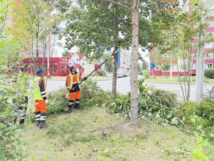 ​Сургутские службы начали обрезку деревьев на улицах города