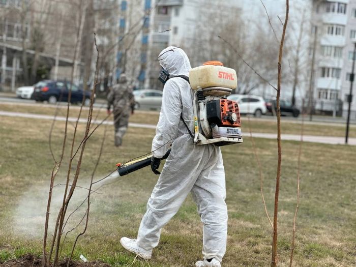 Сургутские службы начнут новый этап противоклещевой обработки 3 августа