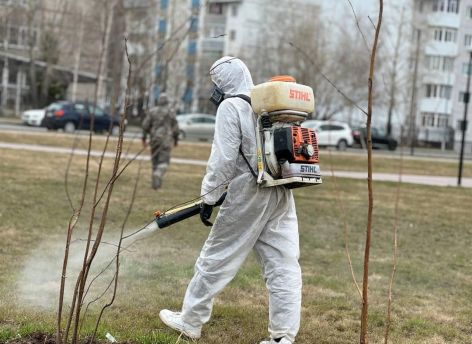 Сургутские службы начнут новый этап противоклещевой обработки 3 августа