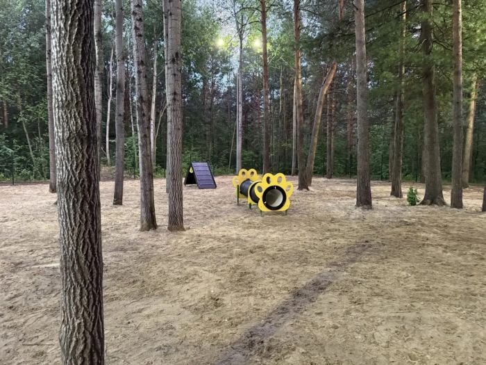​На площадке для собак в парке «За Саймой» в Сургуте появилось освещение